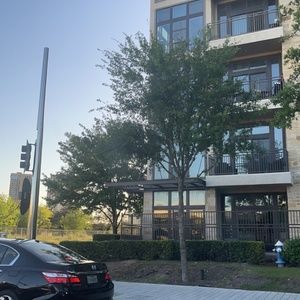 Meet your Posher, Lamika